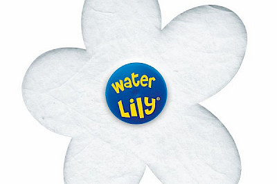 Water Lily